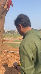 4.2K views · 46 reactions | AAP Goa visited 200 year old Banyan tree which was chopped and uprooted from St Inez was relocated at Campal by Mission Smart City. | Goa News Hub | Facebook