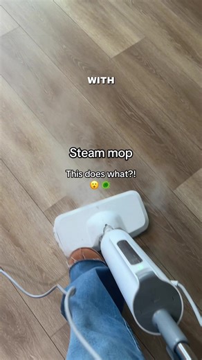 Steam Mop vs. Crusty Mop: The Ultimate Clean
