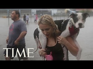 People Are Rescuing Pets From Hurricane Harvey Flooding: Many People, Animals Still Stranded | TIME