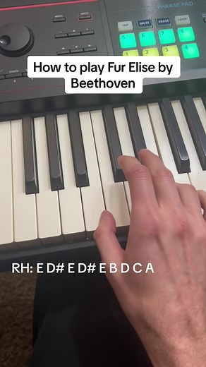 Learn How to Play Fur Elise on Piano Easily