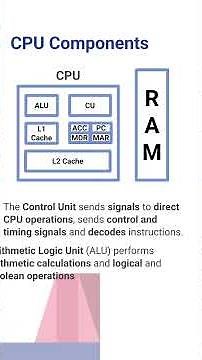 GCSE OCR Computer Science: 1.1.1 - CPU Architecture