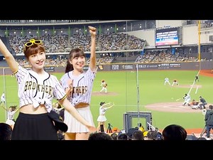 Pro Baseball in Taiwan | CTBC Brothers | Cheerleaders | Taipei Dome