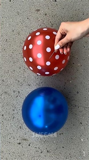🎈Satisfying Balloon Bursting Blue and Maroon Polka | ASMR #shorts
