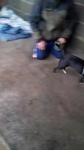 Lovely, lively little Bella , 10 months old patterdale looking for her forever home due to no fault of her own . She needs active humans that can give her plenty of time and attention, due to the fact that she is very active,and jumps up she needs to be with older children. For more information phone Yvonne 07738839019. Please note all re homing is subject to home check and £120 donation. ( we are aware of her ears and are treating them ) | Hope Animal Shelter Loftus