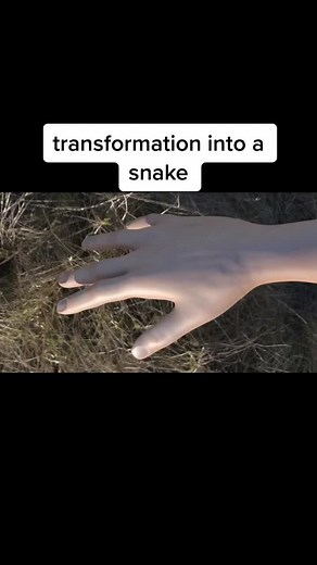 Transformation Into a Snake | Amazing Video Effects