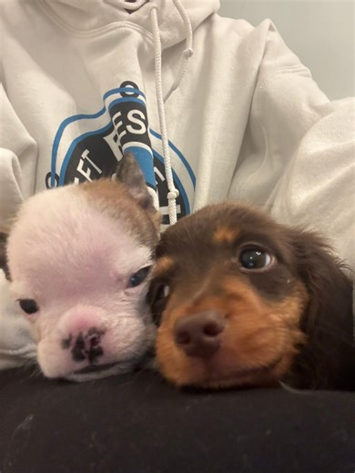 When Walter and Matilda need to cuddle on mommy’s lap after their snack 🥰 | Cleft Rescue Unit