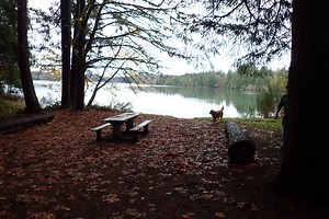 Ike Kinswa State Park - Muddy Camper