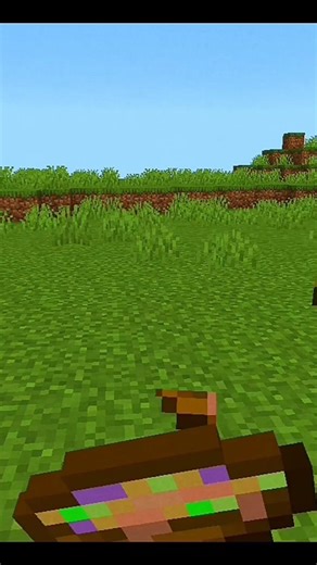 #Minecraft Blindness