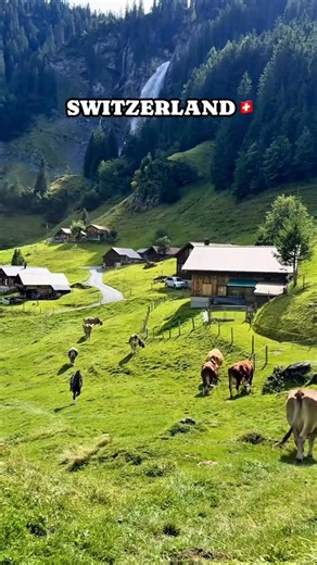 60K views · 5K reactions |  “The Path to Swiss Peace.” #swissbeautiful #switzerlandnature #switzerlandtravel #switzerlandguide #swissmade #FridayFeeling #swiss #swissalps #switzerland #switzerlandwonderland | Khayy Khayy | Facebook