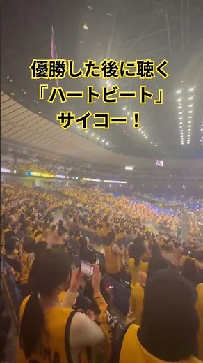 ハートビート！ブレックス 優勝の後は格別！#栃木県 #バスケ