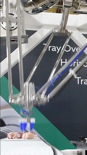 Robotic packaging solution for raw poultry and meat handling #shorts #robotics #automation #fanuc