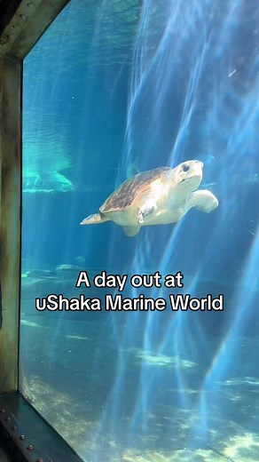 Exploring uShaka Marine World: A Durban Adventure