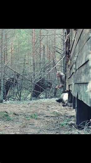 You Won’t Believe What Happens Next 😱 Pure Hollywood Magic A Scene You Can’t Forget Hollywood at Peak Level 💥#hollywood #movies #movieclips #films #cinema #cinematic #filmclip #movieedit #scenes #bestscene #epicscene #movielovers #filmbuff #moviecommunity #entertainment #reels #reelsvideo #shorts #shortvideo #viral #viralvideo #viralvideos #trending #trendingnow #fyp #foryou #foryoupage #explore #explorepage #tiktoktrend #tiktokmovies #tiktokreels #usa #unitedstates #america #uk #england #lond
