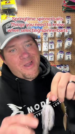 Ultimate Guide to Bass Fishing with Spinnerbaits