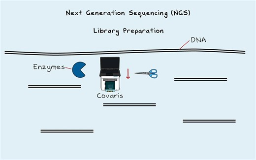 Next Generation Sequencing