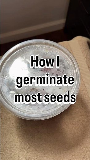 How I germinate most of my seeds