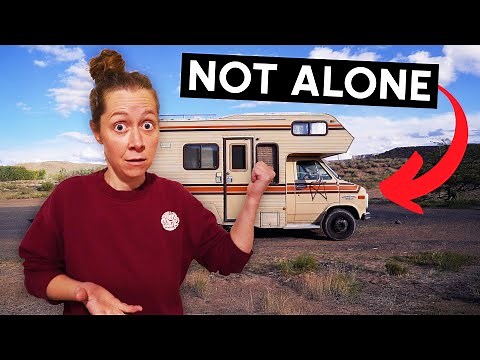 We Found an Unwanted Christmas Guest in Our Van!