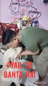 The Ultimate Guide to Labrador Retriever Medications