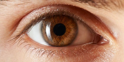 Scientists have discovered that human eyesight evolved from bacteria