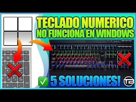 ERROR TECLADO NUMERICO NO FUNCIONA en WINDOWS 11 - Solución de como Activar numeros en PC o Laptop.