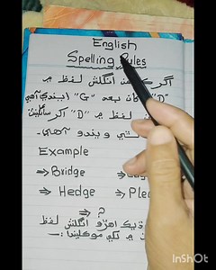 Spelling Rules #SST #SPSC #HM #fbreelsfypシ゚viral #education #Sindh # | HST Seengar Ali Buriro