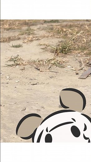 It was still there #Coona