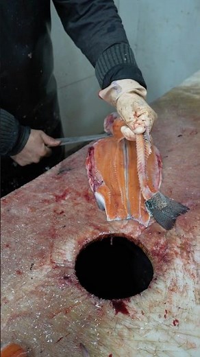 Master Filleting: Close-Up Knife Technique for Fish