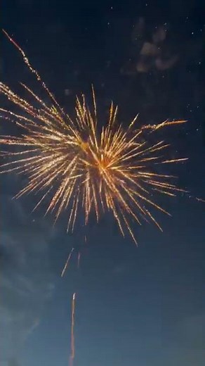 Dancing Alien 100 Shots firework