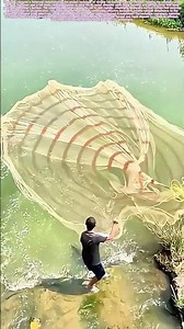 Casting the Circle: How Hand-Thrown Nets Create Sustainable Harvests