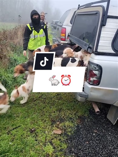 Explore Oregon's Outdoor Rabbit Hunting Adventures