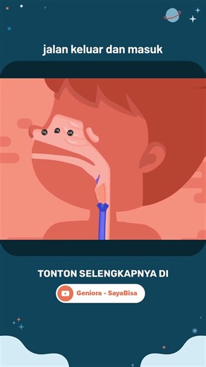 Hidung pada alat sistem pernapasan 👃🏻 🫁 #sistempernapasan #pernapasan #ipa #sd #SayaBisa