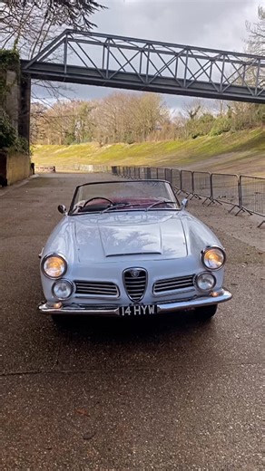 Brooklands Speed on Instagram: "The Historic Brooklands Race Track in Brooklands Racing Green , the AlfaRomeo 2600 Touring Spider in Classica Bianca"