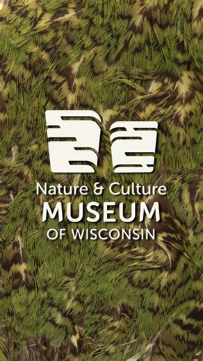 1.5K views · 42 reactions | From our waterways to our forests, and from our textiles to our building materials, the Nature & Culture Museum of Wisconsin’s brand colors are inspired by the hues found in nature across the state and the global artifacts and specimens found in the Museum’s collections. https://www.mpm.edu/brand | Milwaukee Public Museum | Facebook