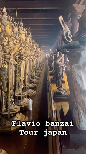 Flavio banzai tour japan #guidejapan #travel
