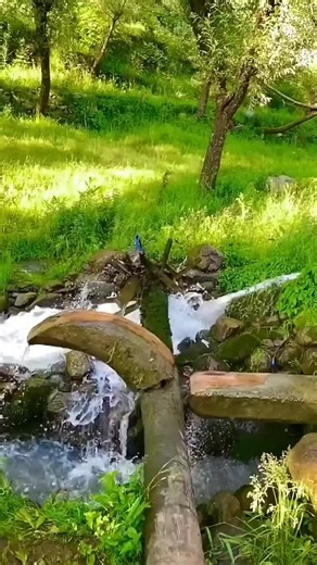 #creatorsearchinsights #ssßpp0p0pppppppppp me for you viral viral viral aammmppp you too sssssdsssssssssss one video for you viral