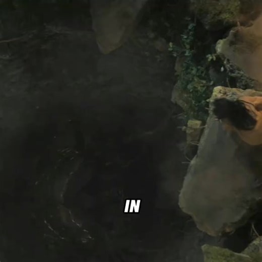 Epic Movie Moments #bestmovie #bestmovies #bestmoviescenes #actionmovie #actionmovies #fyp | FILM HOUSE