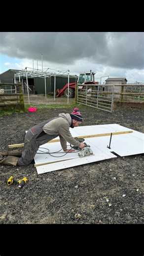 Preparing for Show Season: Tips for Success