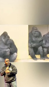 3.2K views · 30 reactions | Mr James got the whole house covered  #theregoesjames #funnyreels #comedyreels #voiceovers | Comedian Bert Cornielius | Facebook