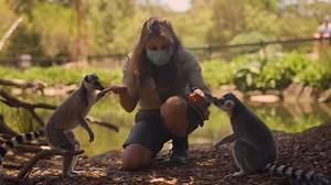 14K views · 1.6K reactions | Feeding time on Lemur Island | Symbio Wildlife Park | Facebook