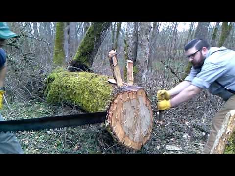 Two Man Crosscut Saw