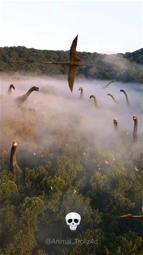 Daynasor Transformation Growth Journeys! 💀