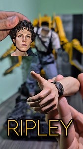 17K views · 18K reactions | Isn't the Ripley 1/4 by @prime1studio and @blitzway a perfect match for the 1/4 Powerloader by HCG? ___ ___ ¿No es la Ripley 1/4 de @prime1studio y @blitzway la pareja perfecta del Powerloader 1/4 de HCG? ___ ___ | Luis Nostromo | Facebook