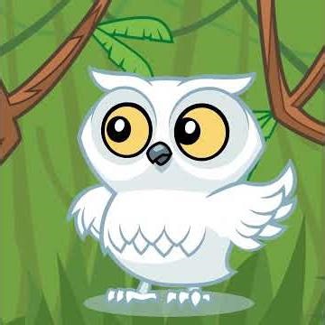 Decision-making flow chart - Case Study 6 Report