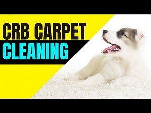 10 Apps To Help You Manage Your Carpet Cleaning Folsom Carter's Carpet Restoration