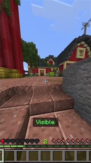 Best Hide and Seek Server in Minecraft