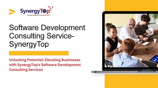 Software Consulting Services - SynergyTop