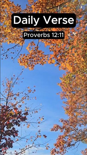 1 Verse, 1 Minute: Proverbs 12:11