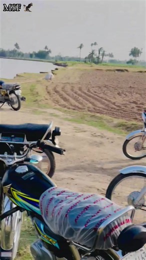 MSF 🦅 – Viral Moments with Malik, Zain and Bilal