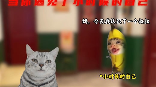 “该怎么描述你呢，我亲爱的自己”