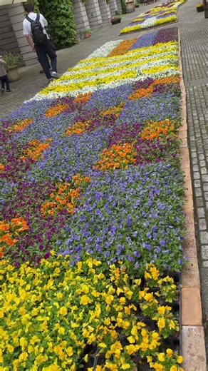 リゾナーレ八ヶ岳 ピオレの絨毯